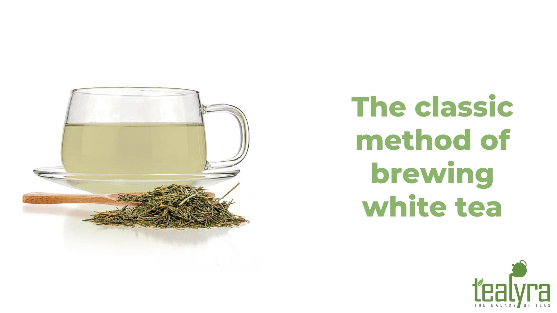 How to Brew White Tea Correctly? Top Tips and 5 Rules (2021) ⭐
